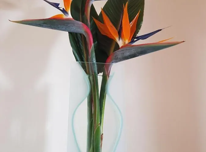 “venik House” Sea_mountains_relaxing_barbecue Daire